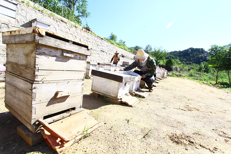 70岁老人身体好的秘诀,70岁以上老人健康秘诀
