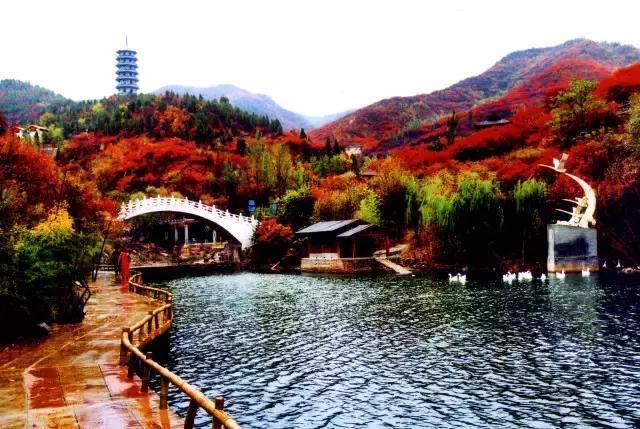济南红叶谷在济南什么位置,山东济南红叶谷秋色