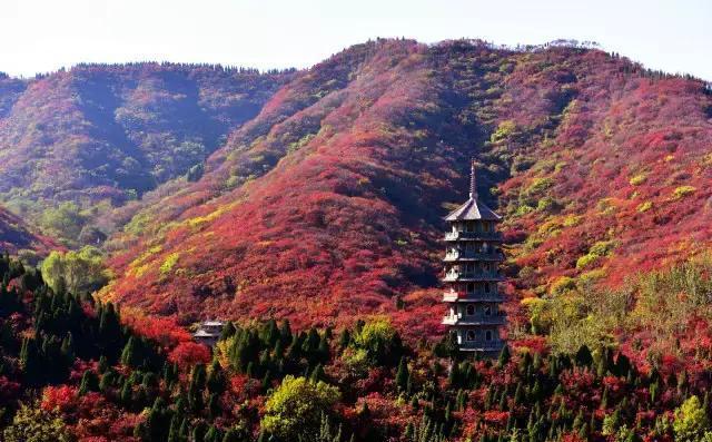 济南红叶谷在济南什么位置,山东济南红叶谷秋色