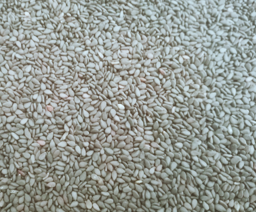 美容养颜补气血的阿胶糕,阿胶糕补血养颜手工