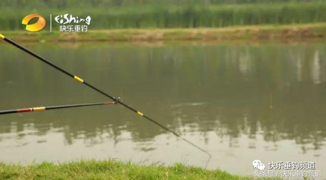 什么牌子的鱼竿调性比较标准,怎么知道自己鱼竿的调性