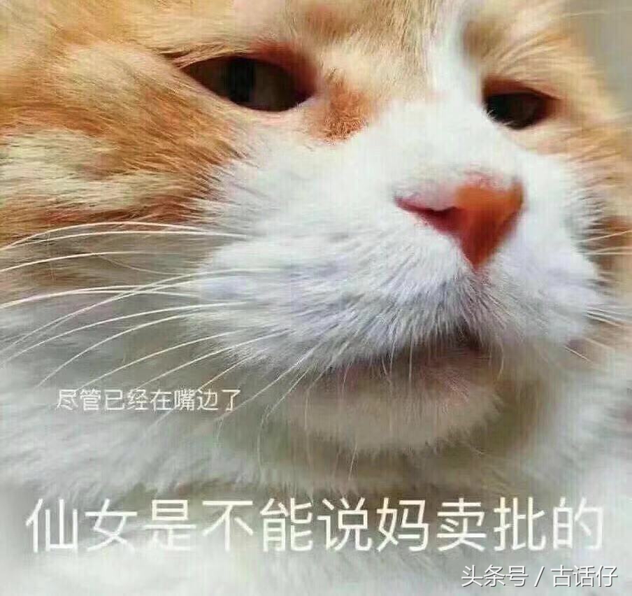 淘宝社交总失败，因为年轻人爱拉黑叫他们点赞双11的朋友