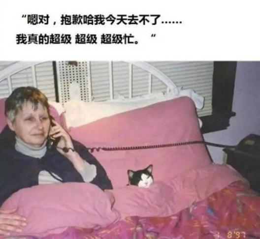 肥宅也能逆袭,肥宅也可以逆袭