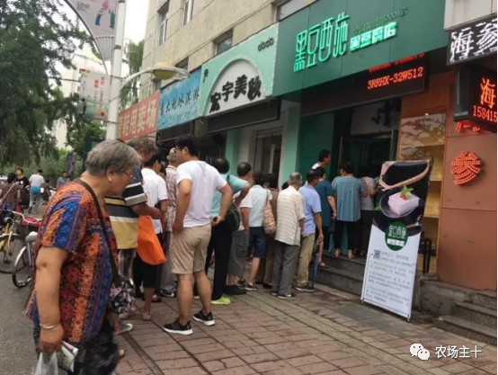 他用一块地做火2个产业，在冰葡萄田里把黑豆卖出4000万