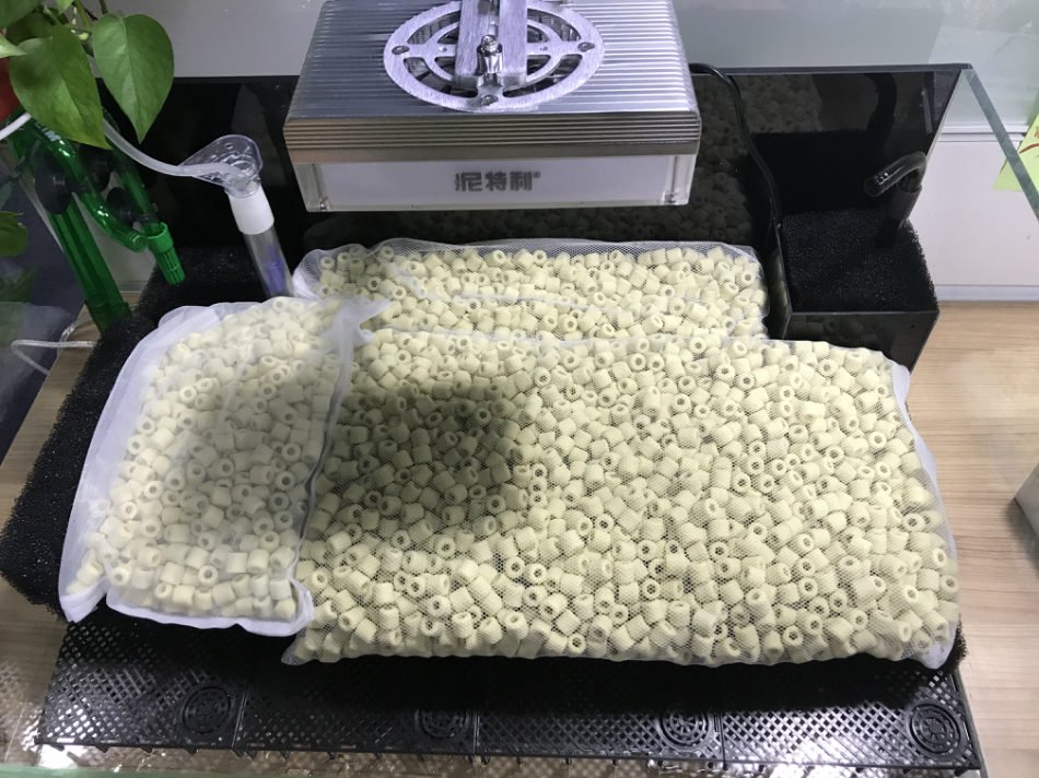 长城杯溪流造景大赛,长城杯造景大赛