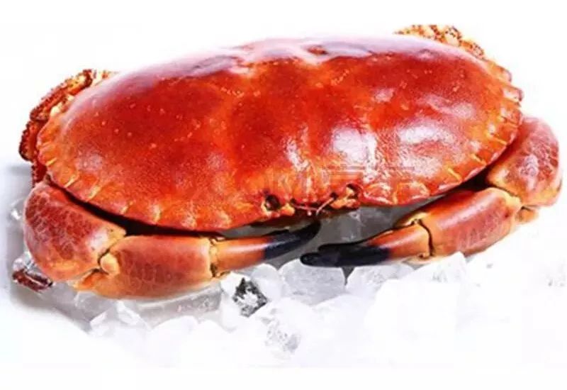 买回来的螃蟹变颜色了还发臭,买来活螃蟹10小时后冷冻是否能吃