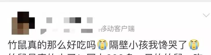 2018年华农兄弟吃的竹鼠,华农兄弟吃竹鼠的一百种理由