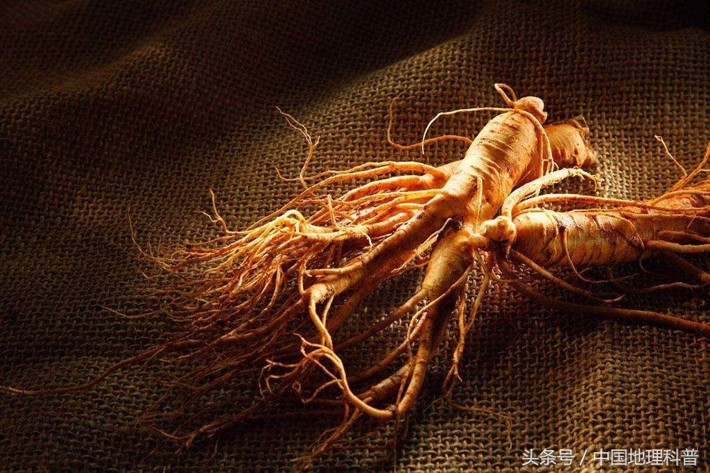 辽宁省的自然地理和人文地理,辽宁地理风光分布图