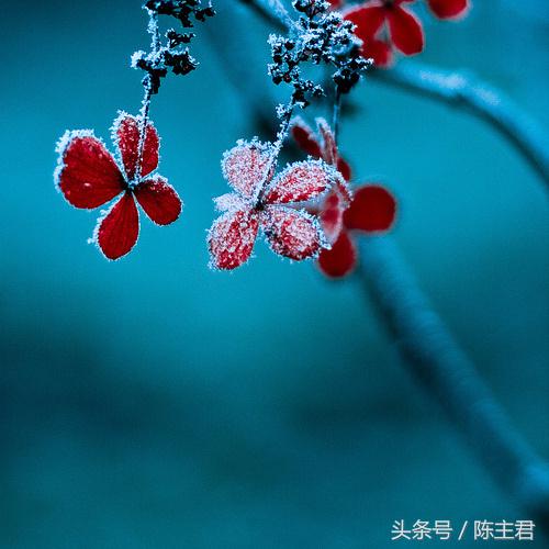 70张让人大开眼界的照片,50张让人惊艳的照片