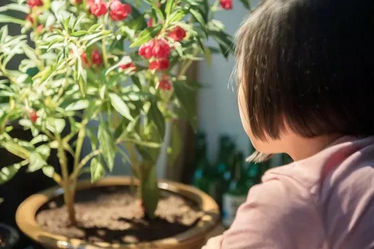 软色情又泛滥：初中生学习资料竟夹带色情内容