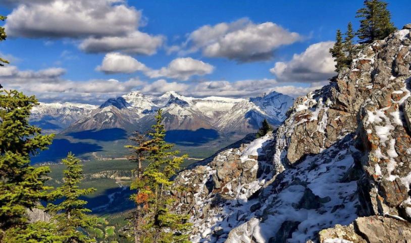 1993年加拿大大学入学要求科目,加拿大读研申请要求