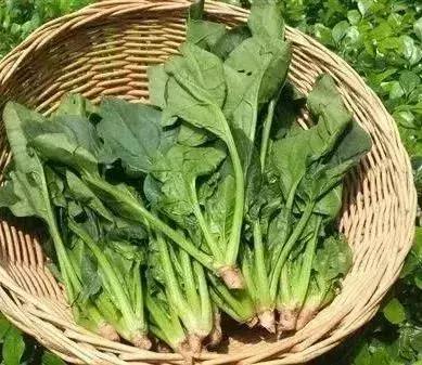 人最容易得的几大癌症,最易得的十种癌症