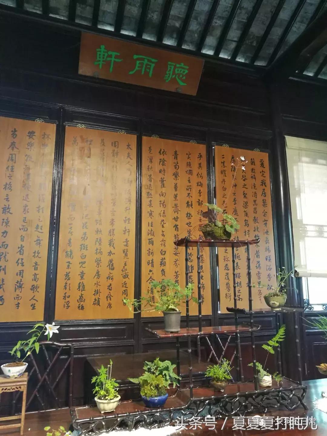 一只狗的旅游记,一只狗去洛阳旅游