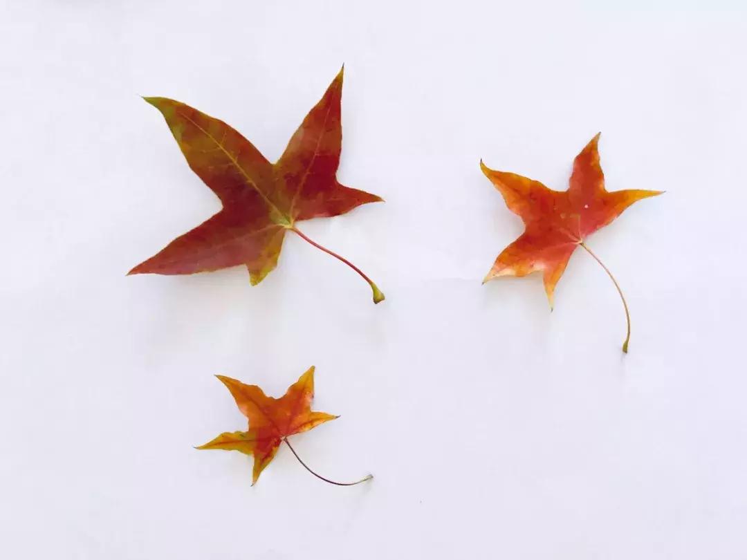 西山森林公园秋季爬山攻略,秋天西山国家森林公园