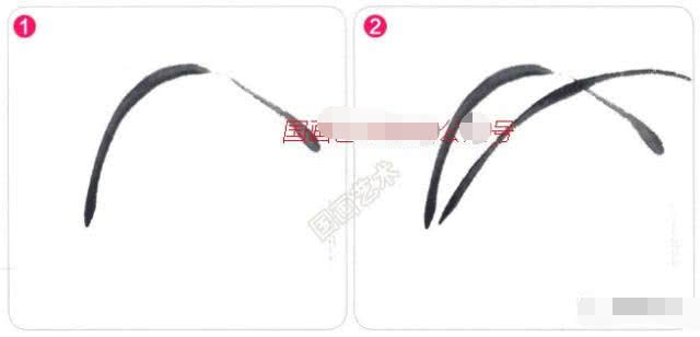 写意兰花的基本画法视频,写意兰花的画法技法视频