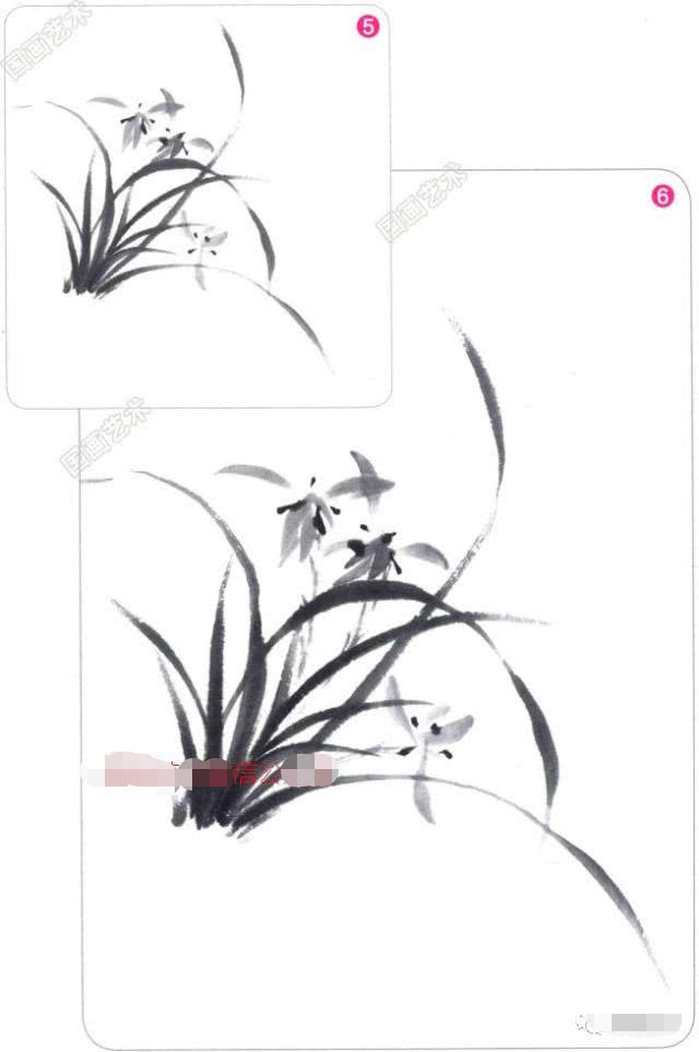 兰花国画写意画法初学者教程,国画教程写意兰花示范讲解