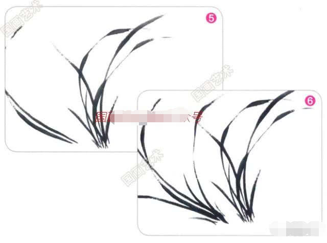 兰花国画写意画法初学者教程,国画教程写意兰花示范讲解