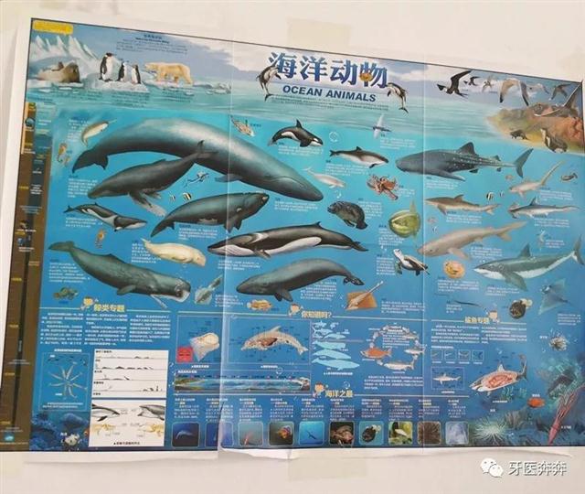 单词世界英文原版动画片,原版英文电影动画片视频