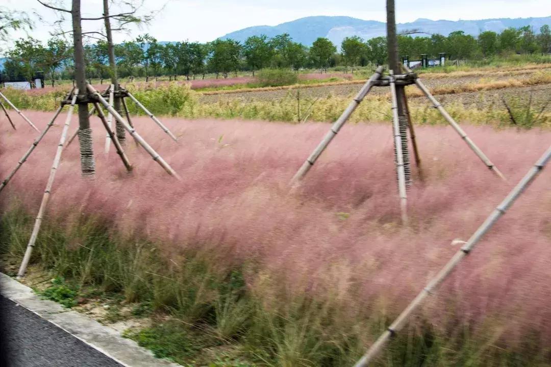 娴欐睙鍙板窞瀹濊棌鐢峰,鍙板窞瀹濊棌鐢风敓