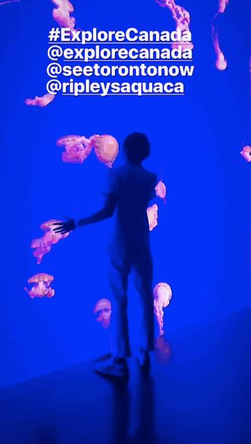 style鐜板満鐗堝浼﹀ (鐧惧彉澶氫鸡澶歴tyle)