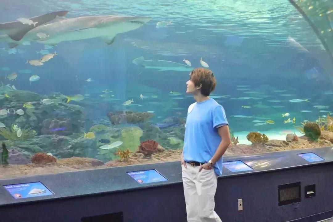 style鐜板満鐗堝浼﹀ (鐧惧彉澶氫鸡澶歴tyle)