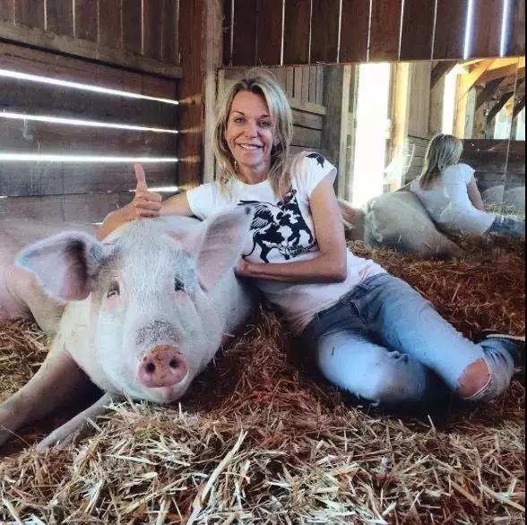 一头猪画画卖30万,一头猪随便画的画竟然要17万