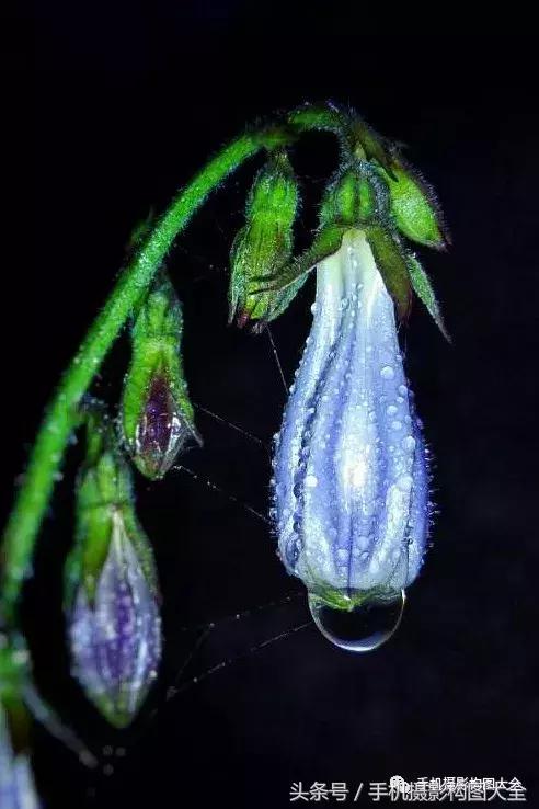 教你如何用手机拍出最好的照片,十个秘诀让你用手机拍出好照片