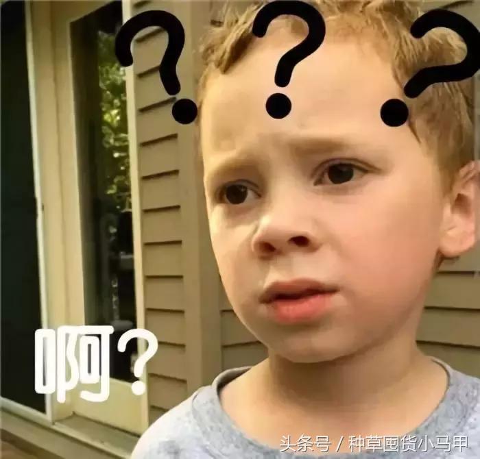 很火的洁面仪,代购洗脸仪测评