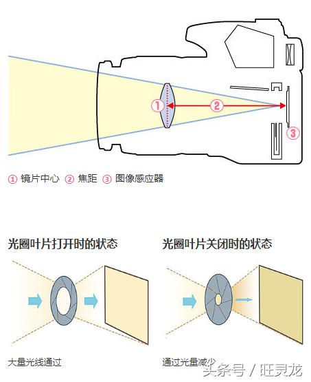 佳能单反相机型号排名及价格eosrp,现在佳能单反相机什么型号比较好