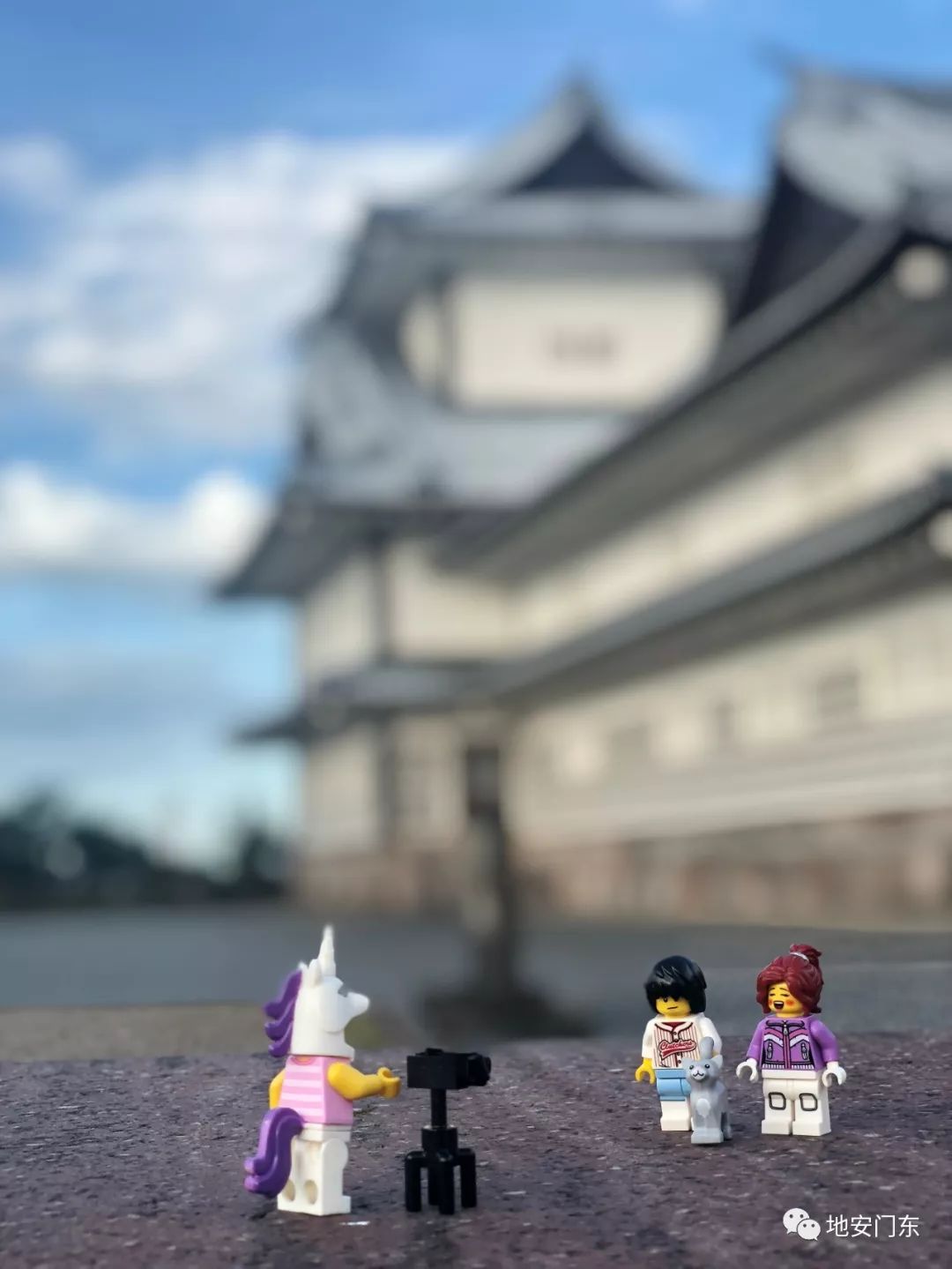 日本高品质小锦鲤,日本金泽市北陆