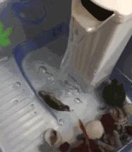 双11彩妆攻略,双11必买清单护肤图集