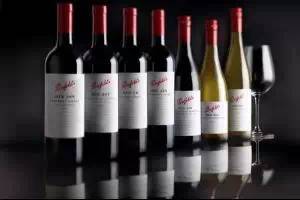 怒!名牌专坑中国游客?正品应该这样买!