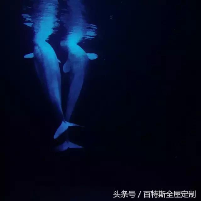 北京夫妻48平方小户型6万改造,东北老破小45平小户型装修改造