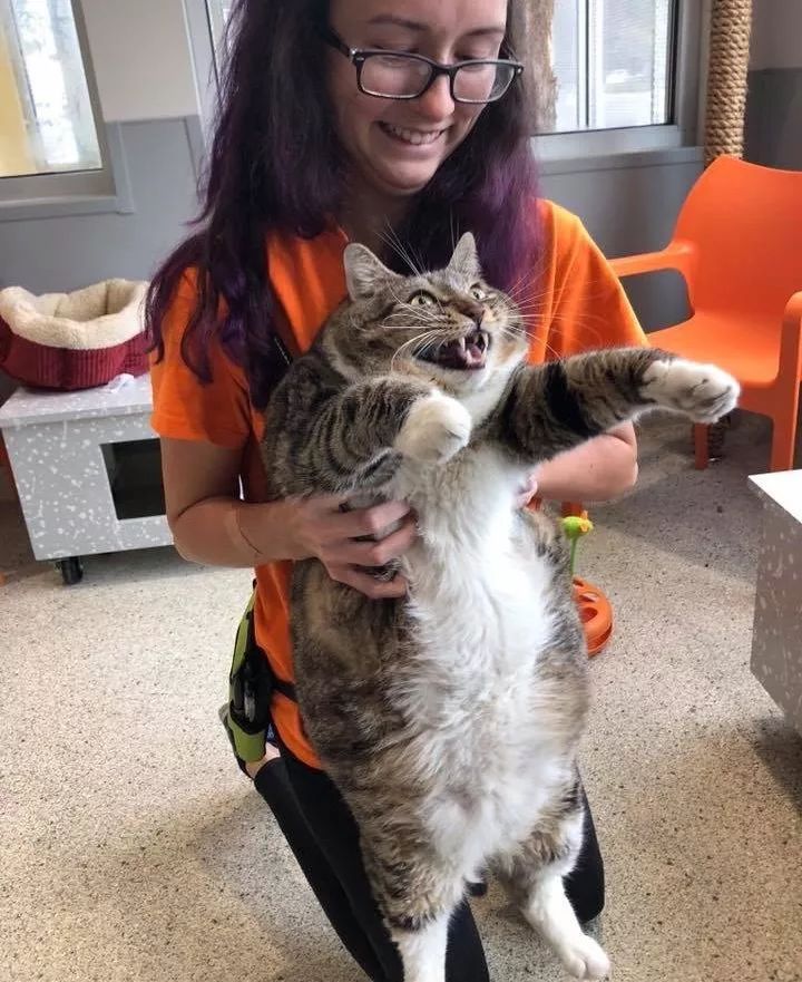 胖子喵星人,胖子就没有人爱吗