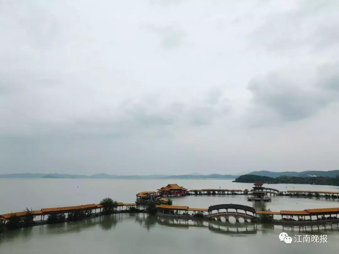 统一嘉园衰落的原因,统一嘉园破产的原因