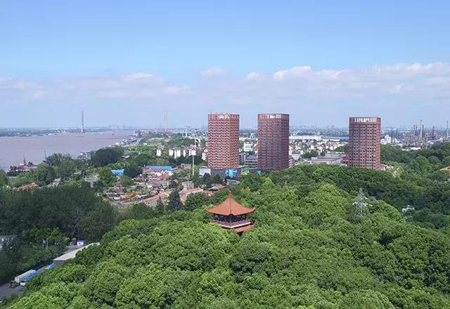 红蓝绿黑你喜欢什么色,红绿蓝清新配色