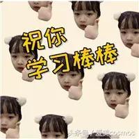 腊梅儿面霜怎么样,腊梅面霜值得购买吗