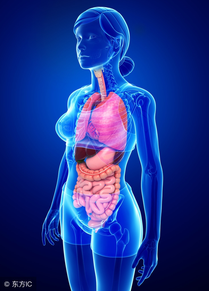 10个妇科小常识,女性一定要知道的妇科常识