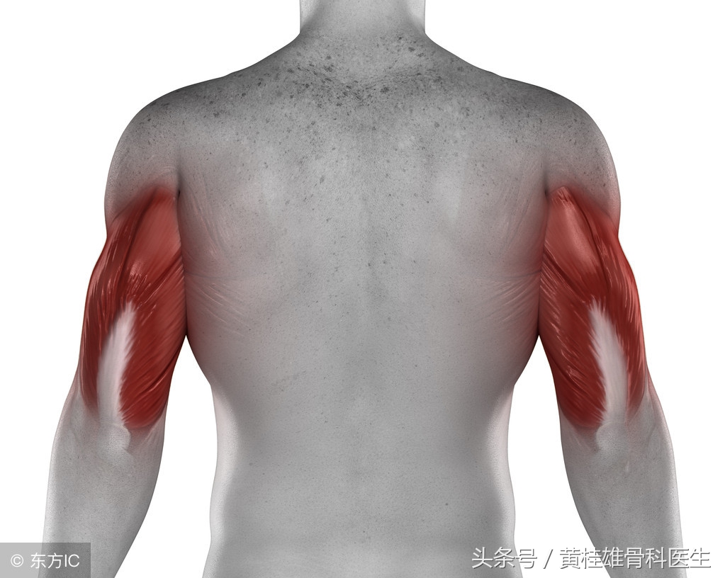 肌腱损伤康复手指,肌腱康复训练手指恢复