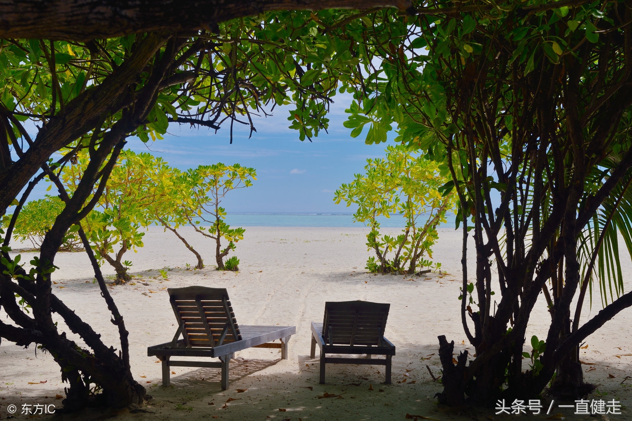 忏悔录卢梭值不值得读,雅克卢梭忏悔录