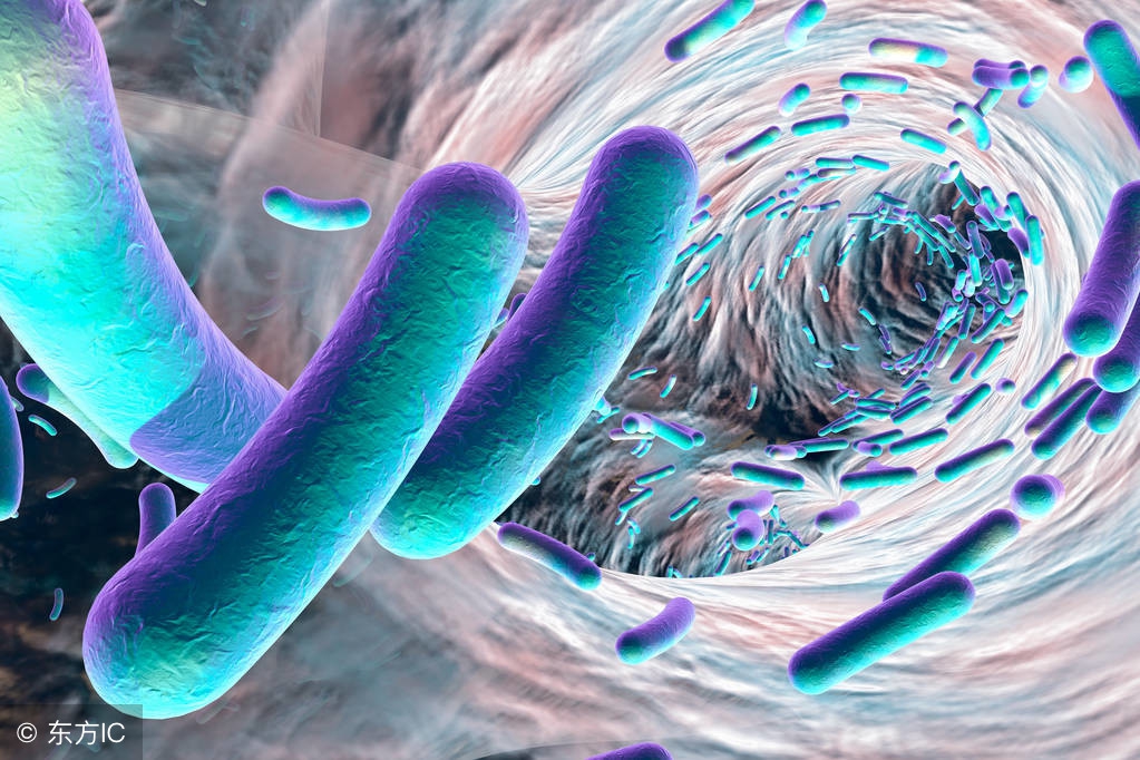 女性游泳怎么预防感染,女性反复尿道感染有什么预防