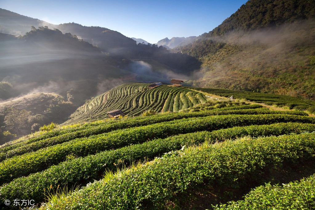 推荐汉中家乡,陕西汉中西乡家乡美景