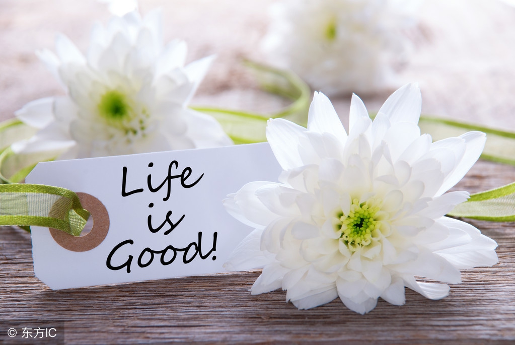 己所不欲勿施于人,己所不欲勿施于人完整句子