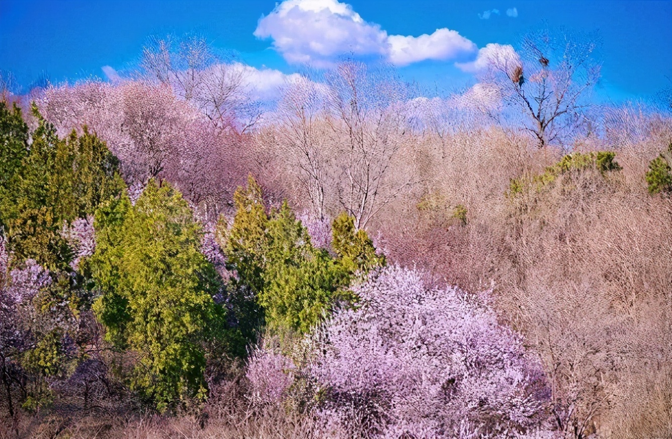 北京4月踏青的地方丰台区有哪些,丰台踏青好去处