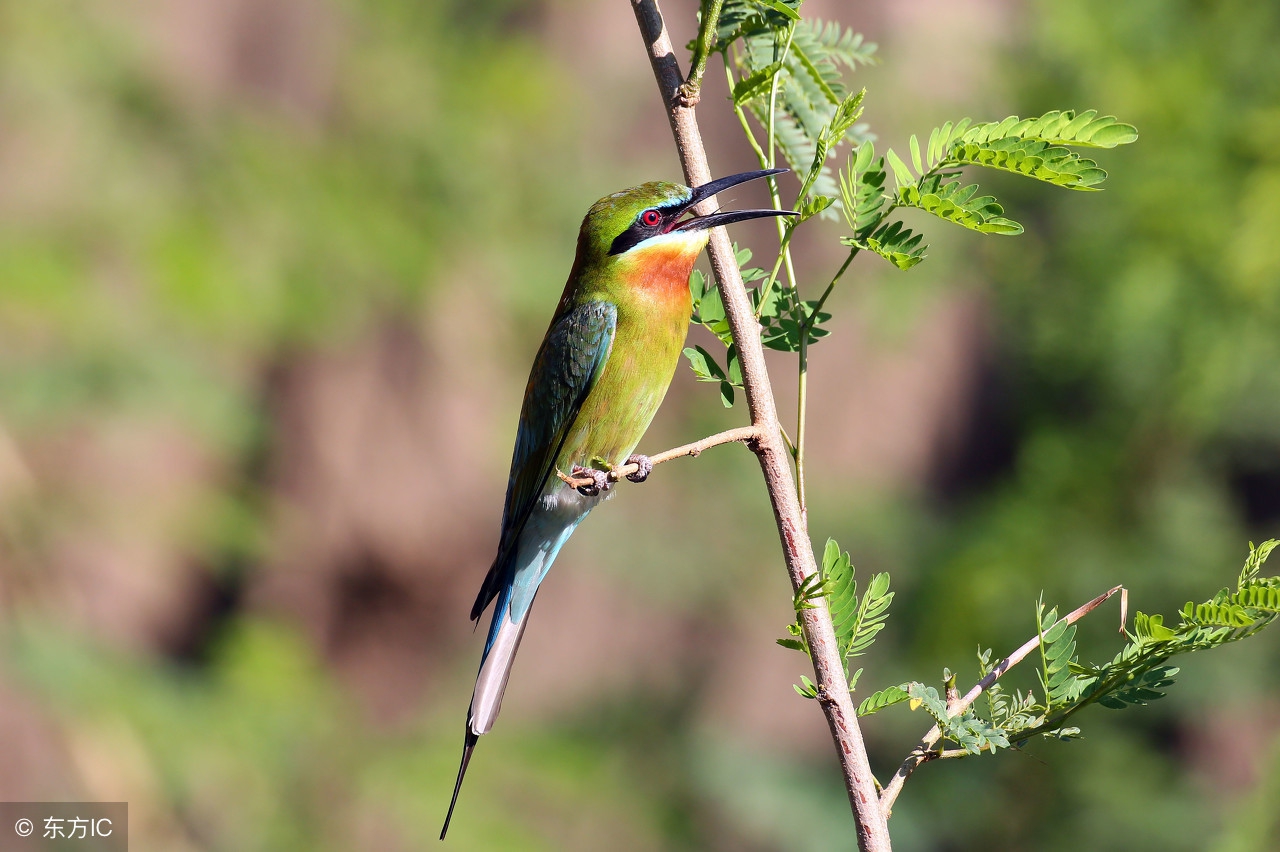 弄明白怎么写,学会或懂得做人做事