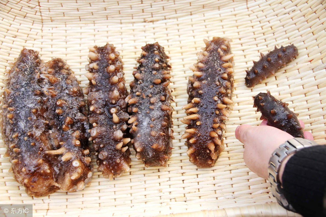 吃不完的海参如何保存,煮熟的海参放冰箱冷冻能保存吗