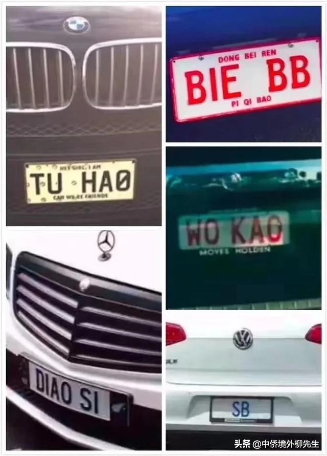 新西兰打工的正确认知,新西兰打工掌握的技能