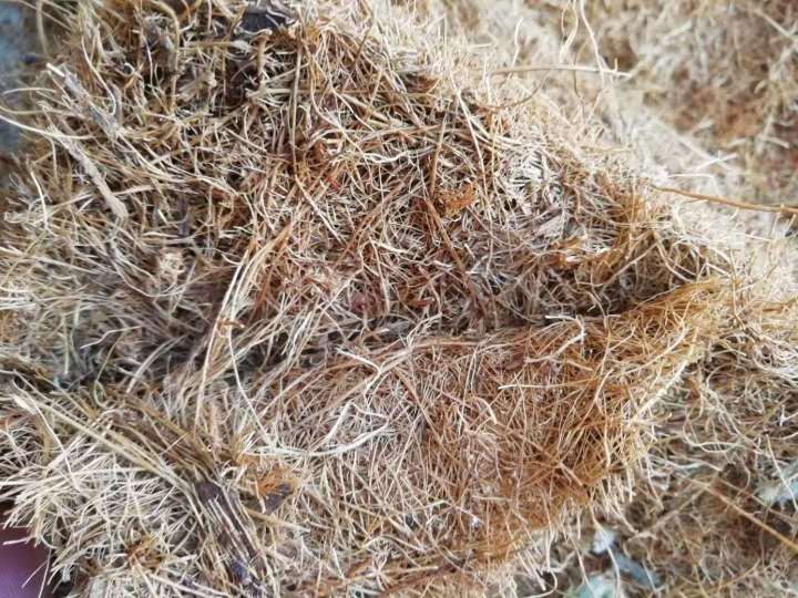 海马牌环保棕床垫有甲醛吗,床垫甲醛怎么判断