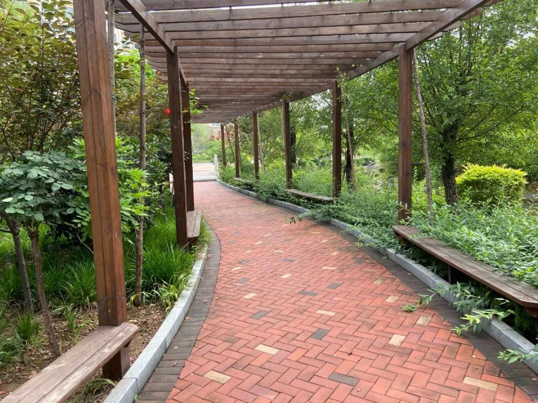 临沂兰山学校招工5小时双休,临沂哪个学校招聘信息最全