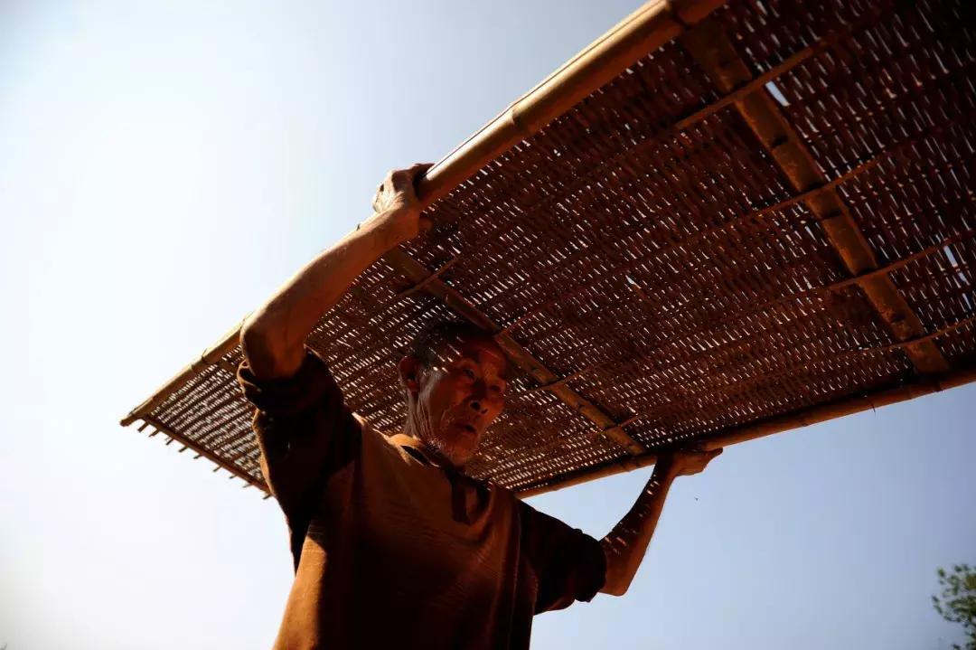 番薯中国原产有哪些品种,番薯原产地